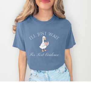 Comfort Colors Reading Teacher Shirt, Comfort Colors English Teacher Shirt, Silly Goose Teacher Shirt, Reading Shirt, Teacher T-shirt, reading teachers gift, book shirt