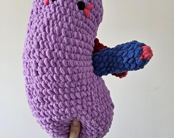 Kidney crochet amigurumi