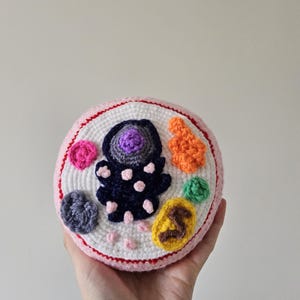May include: A round, crocheted animal cell model featuring a white base with a pink border. It includes a dark blue nucleus with a purple center, an orange textured organelle, a yellow structure with a brown center, and various small pink, green, and gray crocheted shapes representing cellular components.