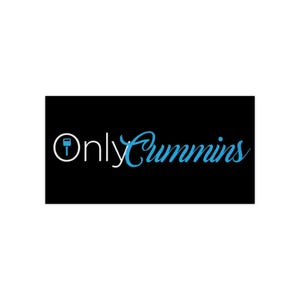 Diesel Bumper Sticker, Cummins Decal for Truck, Car Window, Laptop, Toolbox, Gear, Mechanic Gift
