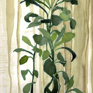 Fine Art Print of Original Watercolor Painting: Crown of Thorns, hand painted botanical artwork