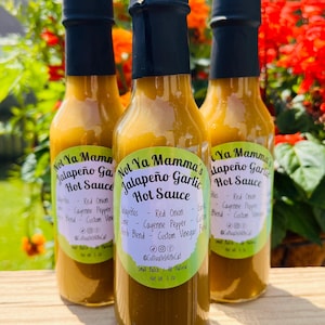 Not Ya Mamma’s Jalapeño Knoblauch scharfe Sauce. Gewürze, lokales Lebensmittelgeschäft, Bio-Lebensmittel, Garten-Lebensmittelgeschäft, Bio-scharfe Sauce, hausgemacht, scharfe Sauce