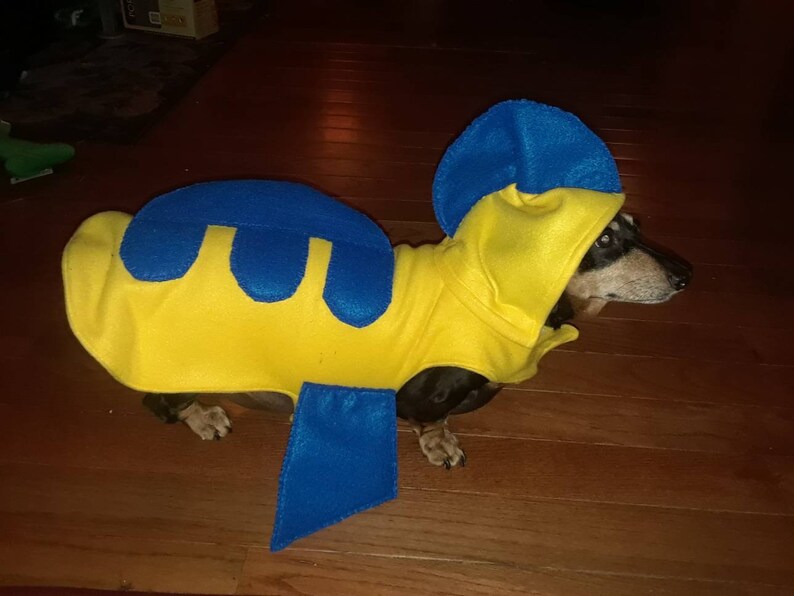 As seen on Q13 News Flounder costume Halloween costume dog Etsy