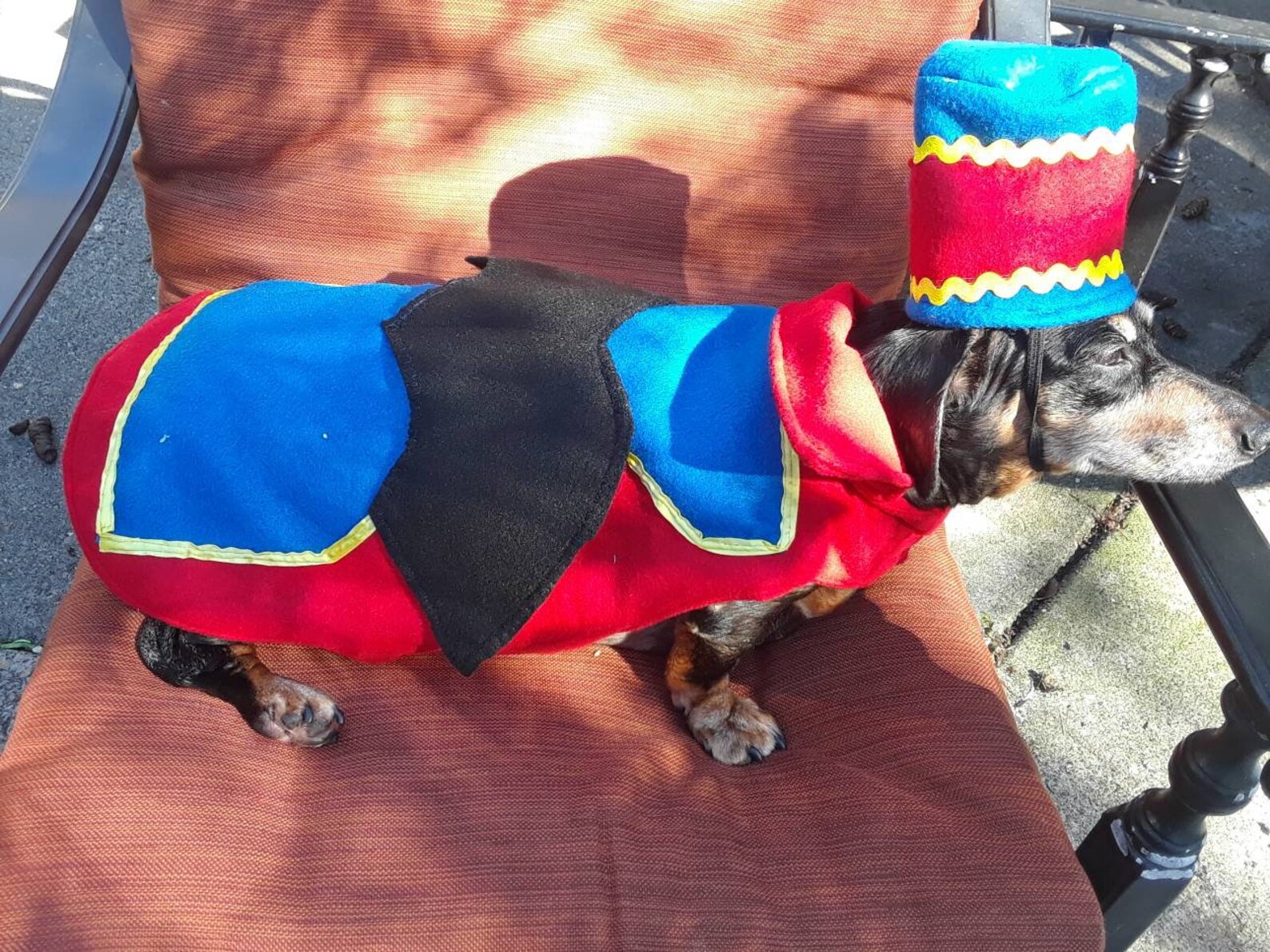 Flying Monkey costume Dog costume pet costume costume contest Etsy