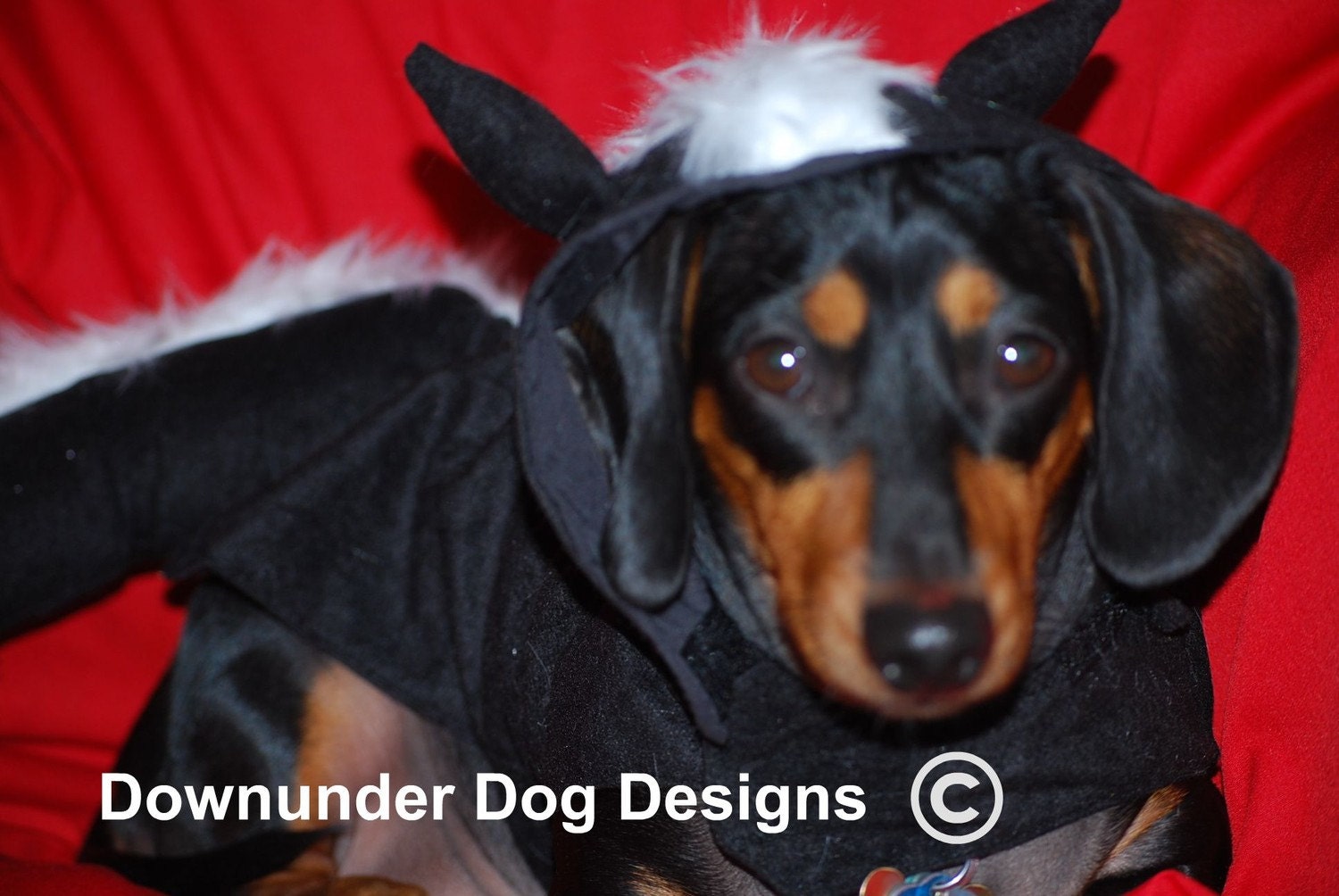 Fliegender affe haustierkostuem