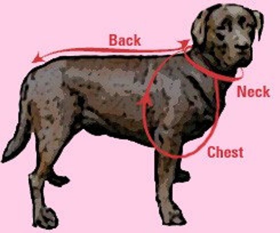 Skunk Kostum Halloween Hundekostum Katzenkostum Haustierkostum Etsy