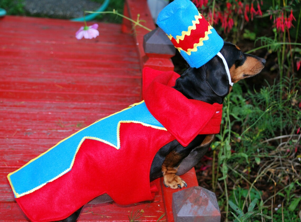 Flying Monkey costume Dog costume pet costume costume contest Etsy