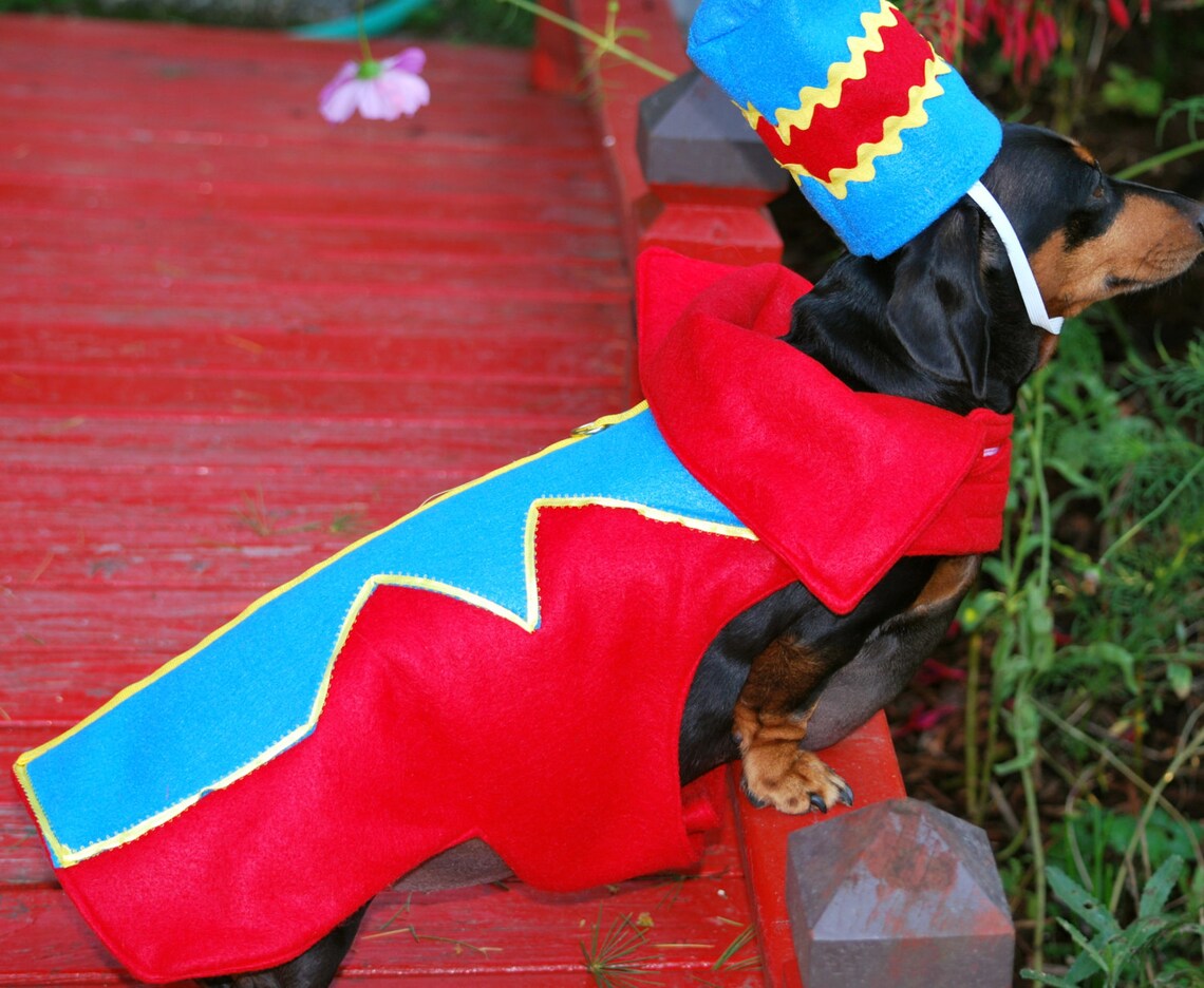 Flying Monkey costume Dog costume pet costume costume contest Etsy