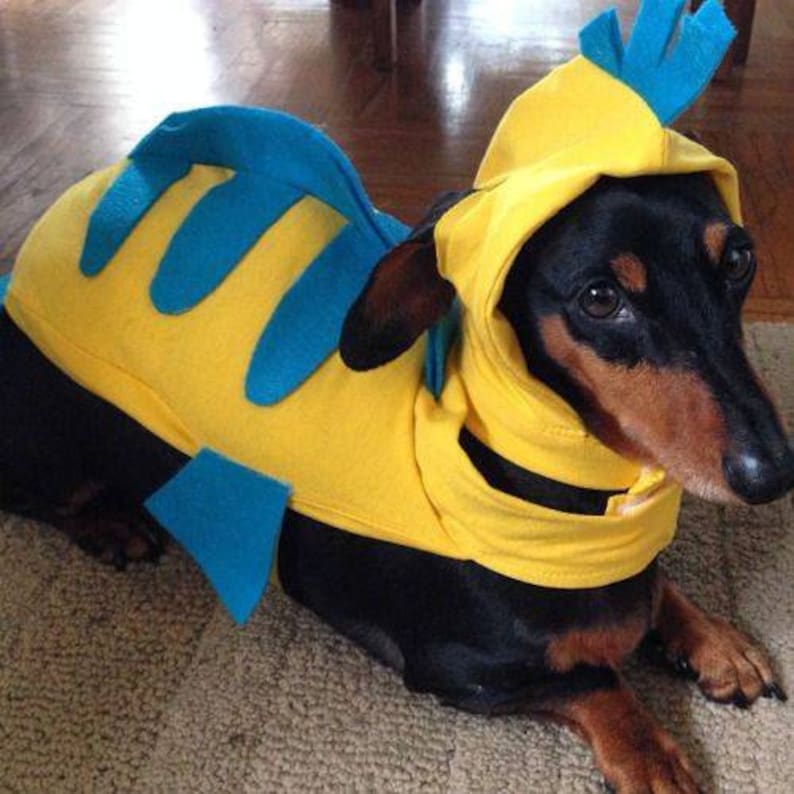 As seen on Q13 News Flounder costume Halloween costume dog Etsy