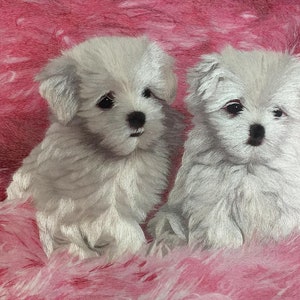 Exquisite Chinese handmade silk embroidery art cute dog painting wall decor Suzhou Embroidery