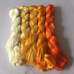 5 skeins hand-dyed 100% natural mulberry silk embroidery floss threads for hand embroidery #8