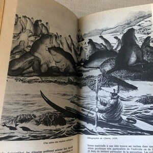 K&ouml;nnte beinhalten: Schwarz-Wei&szlig;-Lithographie von 1826, die eine K&uuml;stenlandschaft mit Robben und einer Person in einem Kajak zeigt. Das Bild zeigt Robben am Ufer und im Wasser. Der Text "Une sc&egrave;ne des r&eacute;gions arctiques" ist sichtbar.