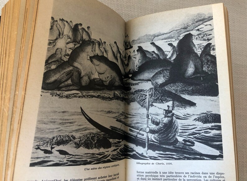 K&ouml;nnte beinhalten: Schwarz-Wei&szlig;-Lithographie von 1826, die eine K&uuml;stenlandschaft mit Robben und einer Person in einem Kajak zeigt. Das Bild zeigt Robben am Ufer und im Wasser. Der Text "Une sc&egrave;ne des r&eacute;gions arctiques" ist sichtbar.