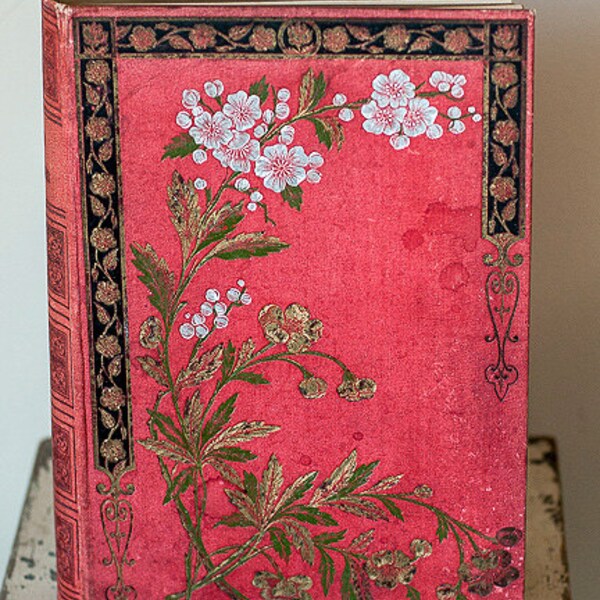Magasin des Demoiselles - Paris, 1884, 19th Century French Book
