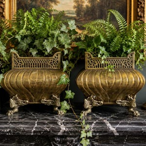 May include: A pair of matching antique-style brass planters featuring a rounded, ribbed body, an ornate openwork gallery top, and four decorative claw feet. Each planter is filled with lush green ivy and fern foliage.