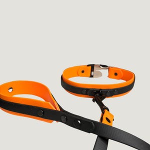 May include: A black and orange dog collar and leash set with a silver buckle and metal hardware.