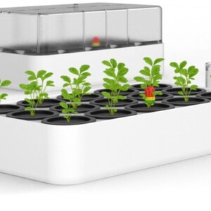 May include: A white hydroponic garden system with a clear plastic lid. The system contains small black pots with green plants. A red and yellow indicator is visible. The system is designed for indoor gardening.
