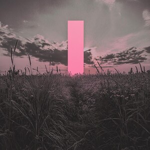 May include: A tall, pink rectangle stands in a field of tall grass. The sky is a muted gray with hints of pink and purple.