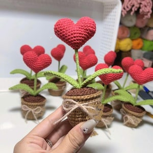 Handmade Crochet Heart Flower Pot: Desk Decor Gift