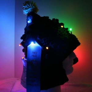 May include: A black knitted hat with a fuzzy pom-pom on top. The hat has colorful lights embedded in it and is decorated with a blue ribbon that says "First Prize".