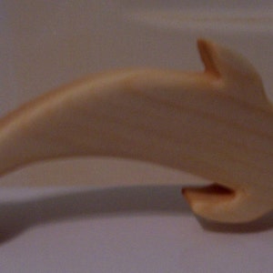 Dolphin Bathtub Toy image 4