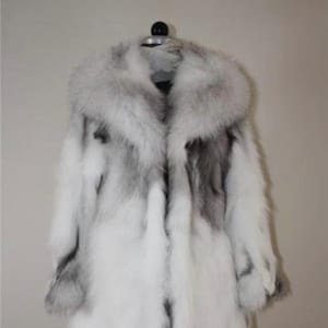 Renard platine | Manteau de fourrure | Longueur genou