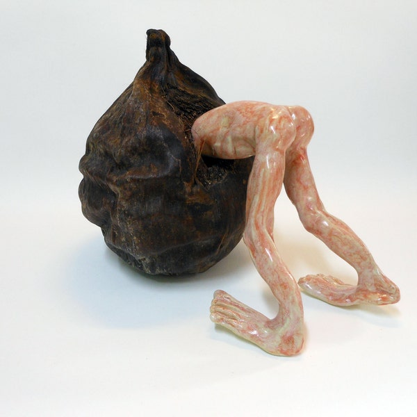 Nut Case Ceramic Sculpture