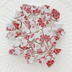 Könnte beinhalten: Eine Sammlung unregelmäßiger Keramik-Mosaikfliesen mit weißem Untergrund und rotem Blumenmuster. Jedes Stück hat einzigartige, gezackte Kanten und eine glatte, glasierte Oberfläche, die verschiedene Abschnitte eines sich wiederholenden Blumenmusters zeigt.