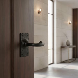 May include: A matte black door handle with a textured, rectangular backplate featuring four visible screws. The handle has a curved, ergonomic shape and is mounted on a dark brown wooden door surface, showcasing a solid and industrial design.