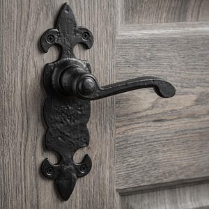 May include: A black metal door handle with a textured, matte finish and a decorative backplate featuring a fleur-de-lis inspired shape. The handle is mounted onto a light grey wood door with a visible grain pattern and four small black screws.
