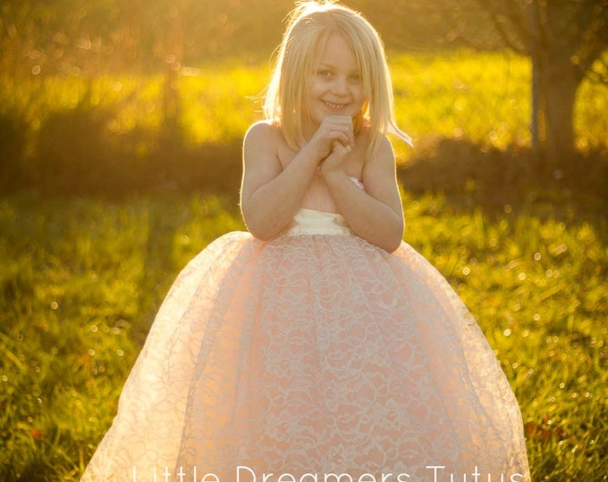 BLUSH Flower Girl Tutu Dress With Champagne Lace Overlay Etsy