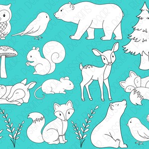 May include: A set of black and white line drawings of woodland animals, including a deer, squirrel, owl, fox, bear, mouse, and birds. There are also drawings of a mushroom, a tree, and an acorn.