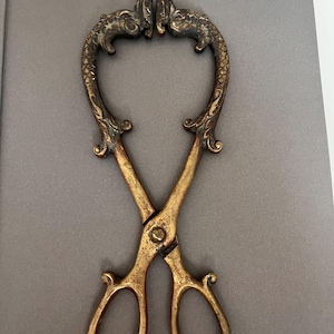 Pode incluir: Um par de pinças de metal com acabamento em tom de latão de estilo antigo. As pegas apresentam dois anéis ovais para os dedos, enquanto os braços superiores têm formas curvas e texturizadas que lembram cabeças de animais com detalhes em relevo.