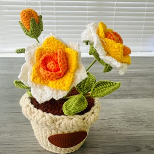 Könnte beinhalten: Eine gehäkelte Blumenarrangement in einem cremefarbenen Topf mit einem braunen Lederanhänger, auf dem "Handmade with love" steht. Die Blumen sind weiß, gelb und orange.