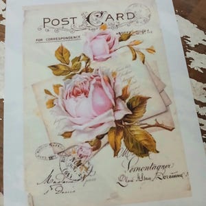May include: A vintage postcard print featuring a large pink rose with yellow-green leaves. The postcard reads "POST CARD" and "FOR CORRESPONDENCE" in brown text. Additional text and stamps are visible.