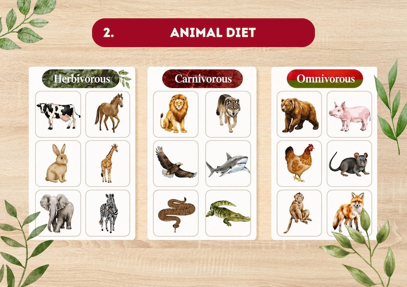 May include: Educational animal diet chart with illustrations of herbivores, carnivores, and omnivores. The chart includes a cow, horse, rabbit, giraffe, elephant, zebra, lion, wolf, eagle, shark, snake, crocodile, bear, pig, chicken, rat, monkey, and fox.