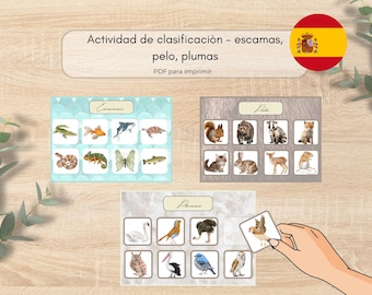 Klassificering av Montessoridjur | escamas, pelo, plumas | Montessori utskrivbar PDF