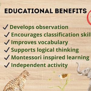May include: Educational graphic with a wooden background. The text "EDUCATIONAL BENEFITS" is displayed above a list of learning benefits. Illustrations of a turtle, donkey, elephant, and other animals are included.