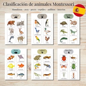 May include: Montessori animal classification cards in Spanish. The cards are divided into categories: mammals, birds, fish, reptiles, amphibians, and insects. Each card has a watercolour illustration of an animal with its name.