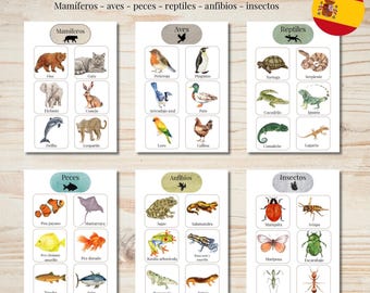 Montessori animal classification activities | Animal classification for categories | Printable PDF
