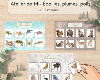 Sorteringsverkstad - Fjäll, fjädrar, päls | Pedagogiskt spel för förskolebarn | Utskrivbar PDF