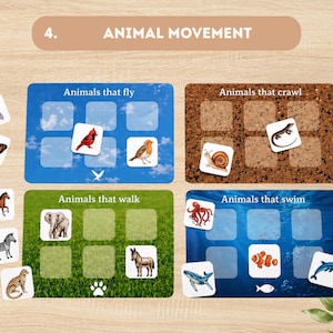 May include: Educational game with the title "Animal Movement". The game includes cards with animals that fly, crawl, walk, and swim. The game is designed for children and includes a canvas bag with the text "Montessori Workshop".