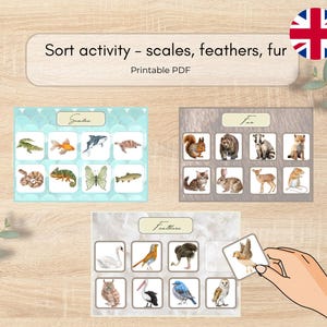 Peut inclure: Activité de tri éducative au format PDF imprimable avec le texte "Sort activity - scales, feathers, fur". L'activité comprend des cartes avec des illustrations d'animaux avec des écailles, des plumes et de la fourrure. Une main tient une carte avec une illustration d'oiseau.