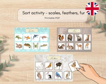 Montessoriaktivitet med djursortering | Fjäll, päls, fjädrar - Montessori utskrivbar PDF