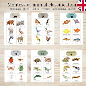 Montessori Animal Classification Activity | Sort Animals by Category | Printable PDF