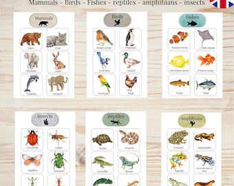 Montessori Animal Classification Activity | Sort Animals by Category | Printable PDF