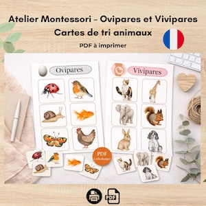 Può includere: Schede didattiche stampabili per un laboratorio Montessori, con classificazione degli animali per oviparità e viviparità. Le schede mostrano illustrazioni di vari animali, tra cui una coccinella, un uccello e una lumaca. È visibile anche il testo "PDF da stampare".