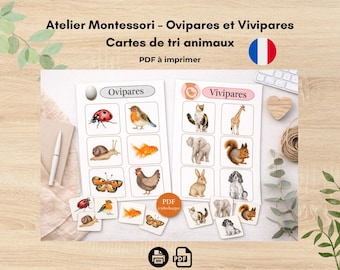 Utskrivbara Montessoridjur – Ägg- och vivpara | Sorteringskort | PDF