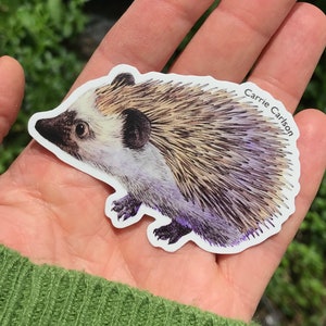 Naklejka winylowa Jeż (z oryginalnej ilustracji)