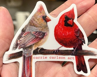 Cardinal pair original drawing vinyl sticker